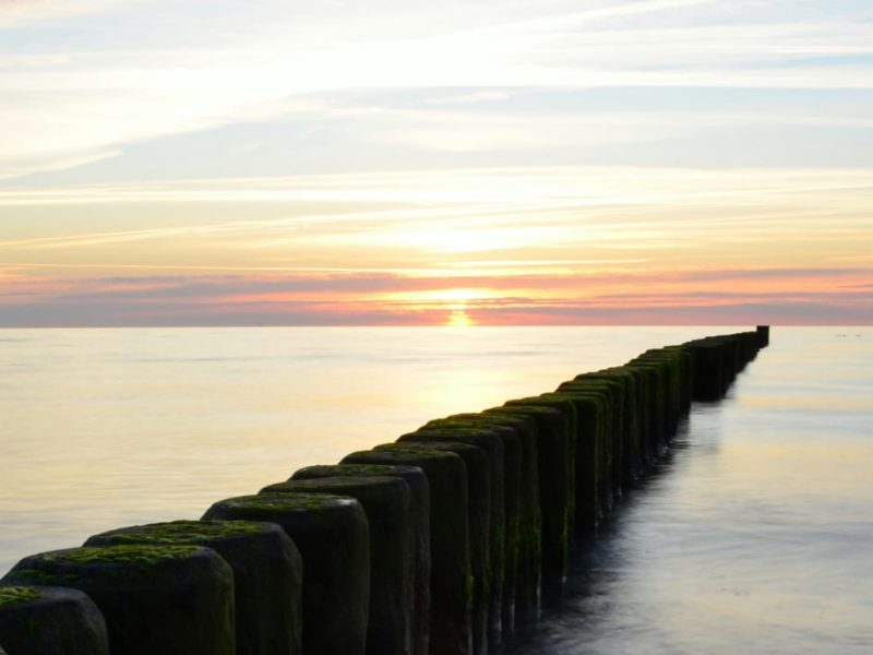 DSC_0036_web