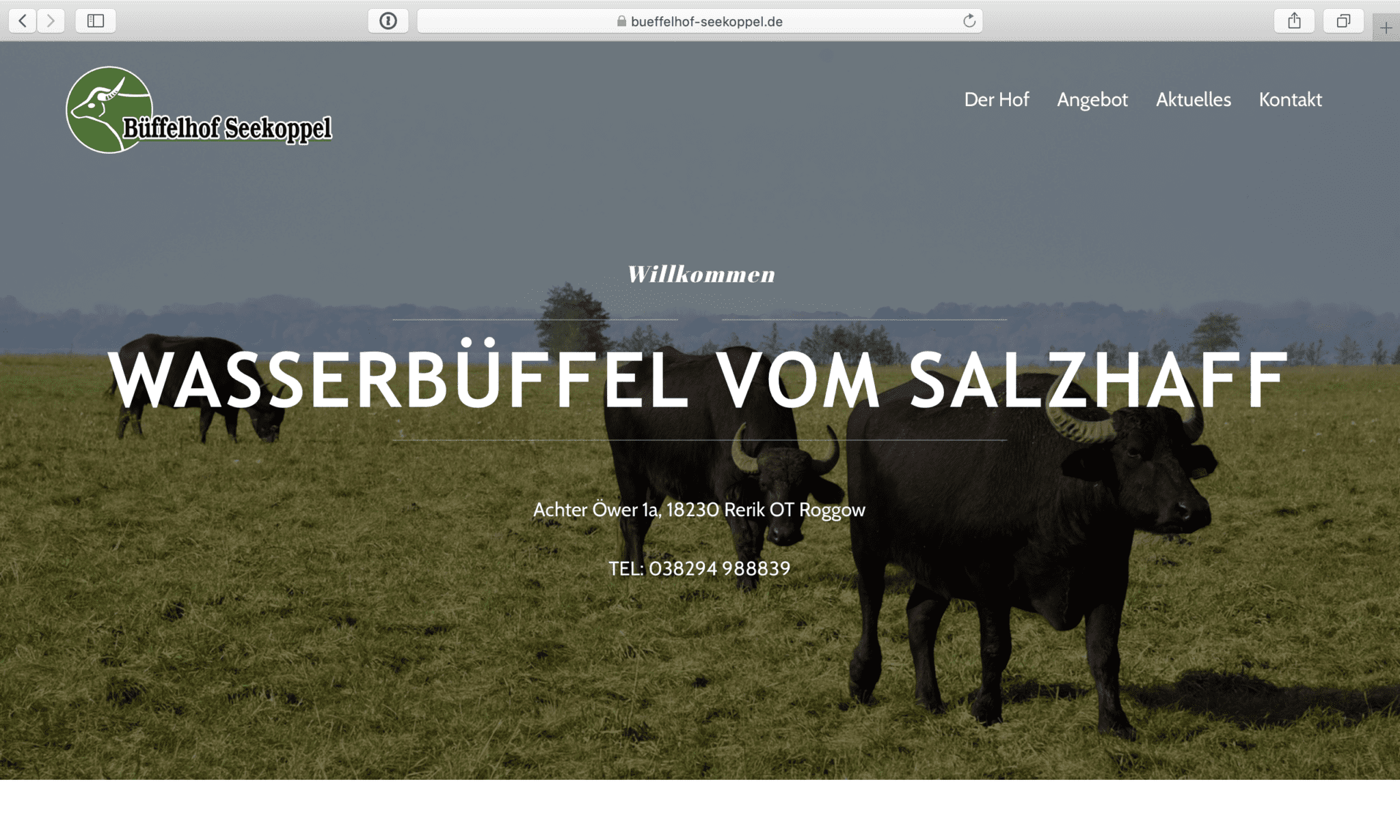 www.bueffelhof-seekoppel.de