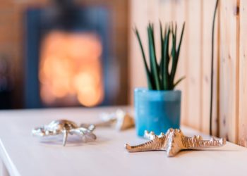 ©Friederike Hegner_2019_Ferienwohnung-Fotoservice.de_FeHaus Bursee-Sander Niendorf TS_web-42 ©Friederike Hegner_2019_Ferienwohnung-Fotoservice.de_FeHaus Bursee-Sander Niendorf TS_web-42