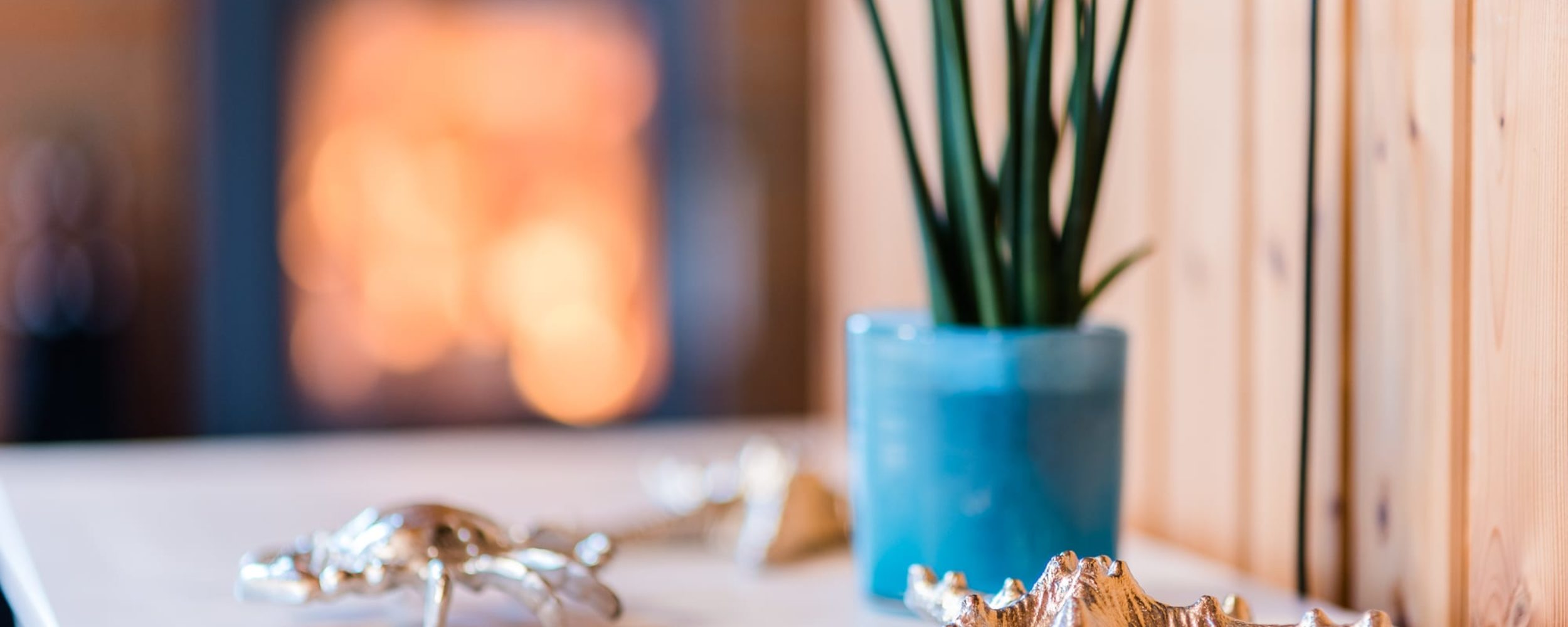 ©Friederike Hegner_2019_Ferienwohnung-Fotoservice.de_FeHaus Bursee-Sander Niendorf TS_web-42