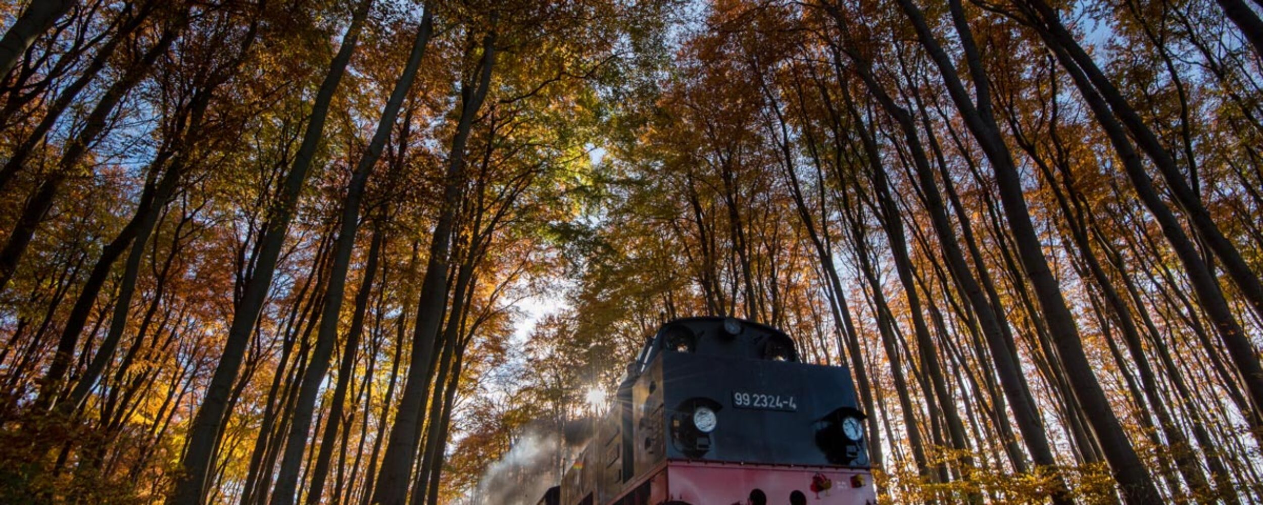 Baederbahn_Molli_DSC_6564