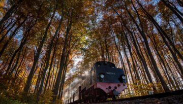 Baederbahn_Molli_DSC_6564