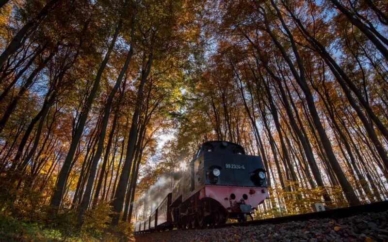 Baederbahn_Molli_DSC_6564