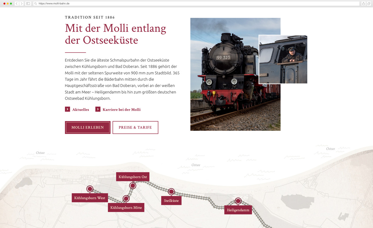 Molli-Web_Screen3 Molli-Web_Screen3